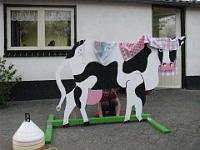 IMG 0482
