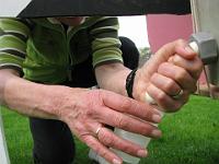IMG 0559