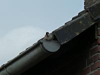 P1020756