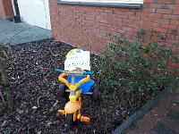 IMG-20181015-WA0019