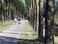 IMG-20181015-WA0062