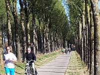 IMG-20181015-WA0067