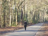 P1170227