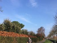 IMG-20200126-WA0090
