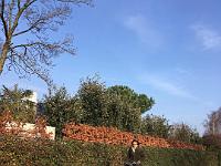 IMG-20200126-WA0108