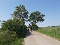 IMG-20230604-WA0031