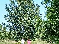 IMG-20230604-WA0051